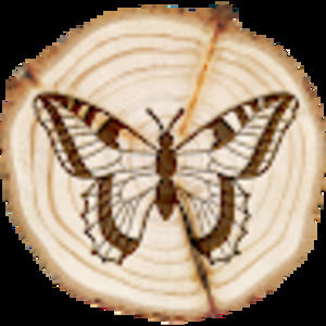 Meet your Posher, Lorrie